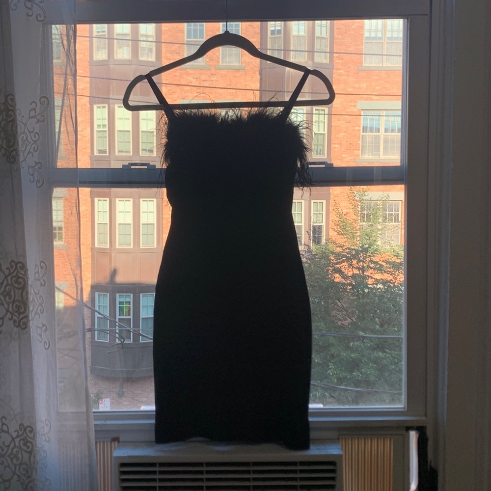 Hot & Delicious Feather Dress
